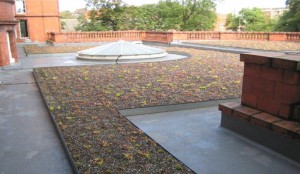 Whitworth Green Roof